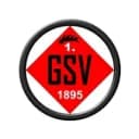 1. Göppinger SV